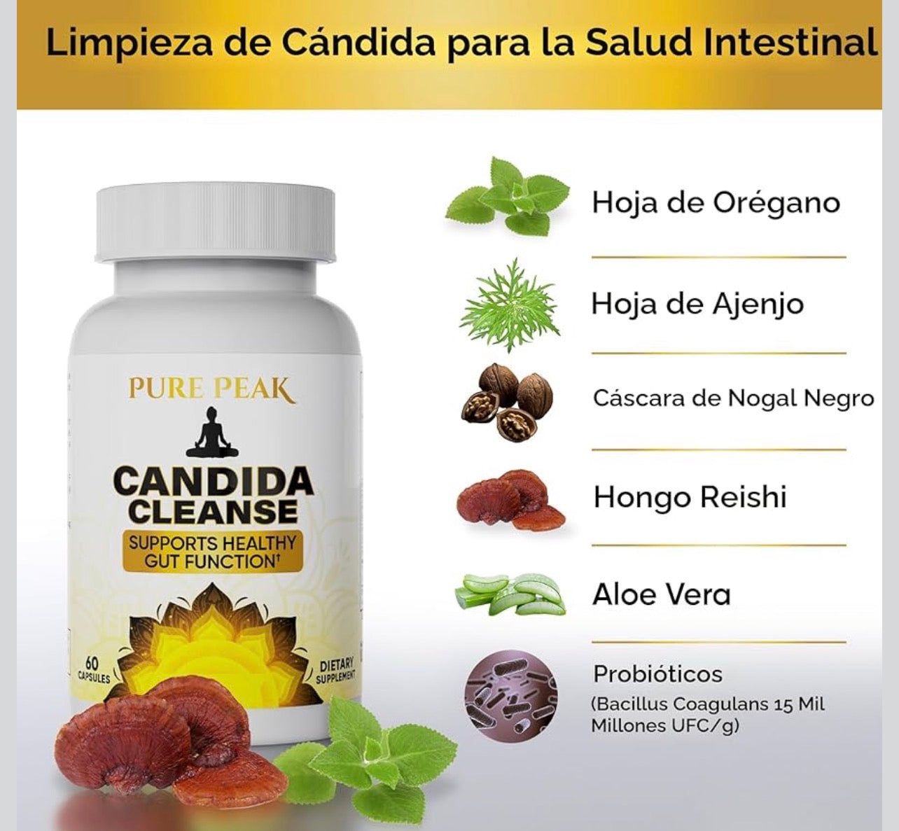 CANDIDA CLEANSE